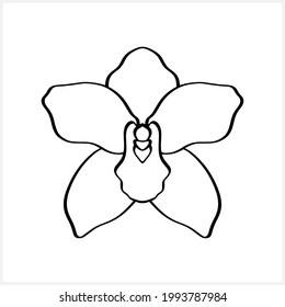 Doodle orchid icon isolated on white. Hand drawn sketch. Flower coloring page book. Vector stock illustration. EPS 10 