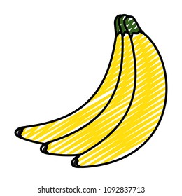 doodle organic bananas delicious organic fruits