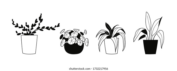 Doodle outline collection of indoor house plants. Bundle of decorative trendy plants growing in pots. Urban jungle, cozy scandinavian home decor. Floral template for web, card, poster, sticker, banner