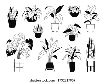 Doodle outline collection of indoor house plants. Bundle of decorative trendy plants growing in pots. Urban jungle, cozy scandinavian home decor. Floral template for web, card, poster, sticker, banner