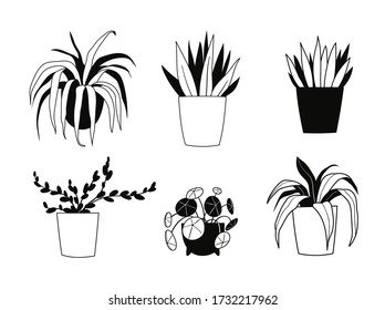 Doodle outline collection of indoor house plants. Bundle of decorative trendy plants growing in pots. Urban jungle, cozy scandinavian home decor. Floral template for web, card, poster, sticker, banner