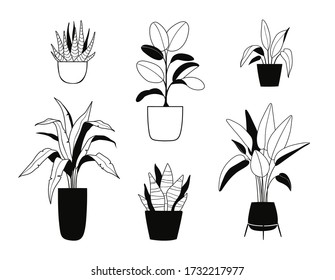 Doodle outline collection of indoor house plants. Bundle of decorative trendy plants growing in pots. Urban jungle, cozy scandinavian home decor. Floral template for web, card, poster, sticker, banner