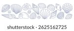 Doodle outline collection of sea shells, mollusks, sea ​​snails. Tropical beach shells. Vector illustration in modern minimal style