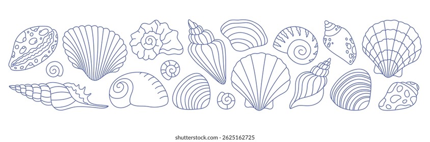 Doodle outline collection of sea shells, mollusks, sea ​​snails. Tropical beach shells. Vector illustration in modern minimal style