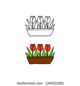 Doodle outline and colored tulips in long container isolated on white background.