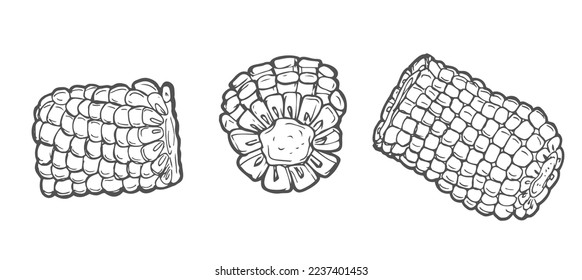 Doodle outline corn pieces. Vector hand-drawn illustration for packing isolated on transparent background. Corn sketch in vector