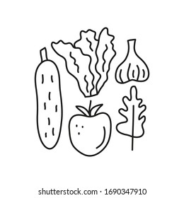 Doodle outline cucumber, leafy salad, garlic, tomato, rucola isolated on white background. Group of vegetables.