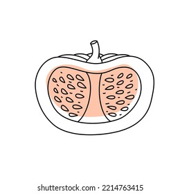 Doodle outline cut slice pumpkin with spot. Vector hand-drawn illustration for packing isolated on transparent background