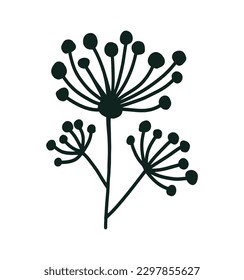 Doodle outline dill flower isolated on white background. Simple vector floral icon. Logo design element. Botanical leaves and branches.