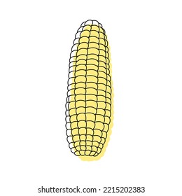 Doodle outline ear of corn with spot. Vector hand-drawn illustration for packing isolated on transparent background