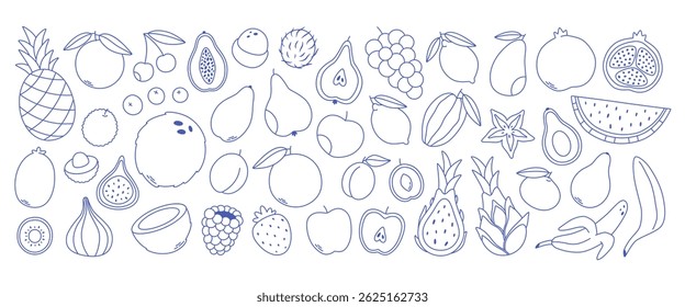 Doodle outline fruits collection. Set of different fruits and berries. Collection of organic vitamins and healthy nutrition. Vector illustration in modern minimal style