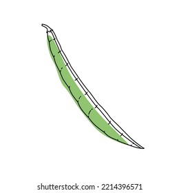 Doodle outline green bean with spot. Vector hand-drawn illustration for packing isolated on transparent background