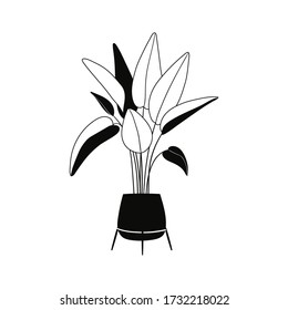 Doodle outline indoor house plant. Pretty green decorative trendy homeplant growing in pot, planter. Urban jungle, cozy scandinavian home decor. Floral template for web, card, poster, sticker, banner