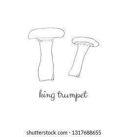 Doodle outline king trumpet mushrooms isolated on white background.