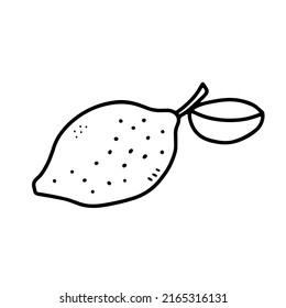Doodle outline lemon. Hand-drawn citrus isolated on white background. Delicious fruit is a symbol of summer, wholesome nutrition, natural food. Ingredient for lemonade, juice menu. Vector illustration