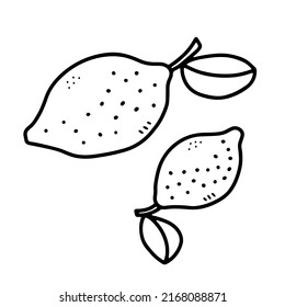 Doodle outline lemon. Hand-drawn citrus isolated on white background. Delicious fruit is a symbol of summer, wholesome nutrition, natural food. Ingredient for drinks, juice, menu. Vector illustration
