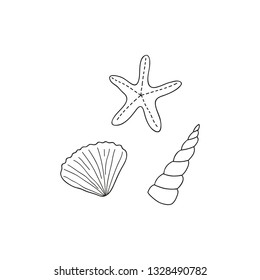 Doodle outline seashells isolated on white background.