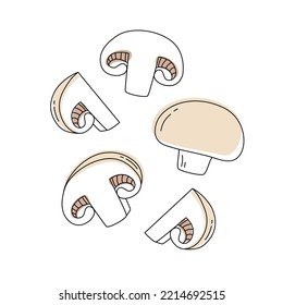 Doodle outline set whole and slice mushroom champignon with spot. Vector hand-drawn illustration for packing isolated on transparent background