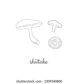 Doodle outline shiitake mushrooms isolated on white background.