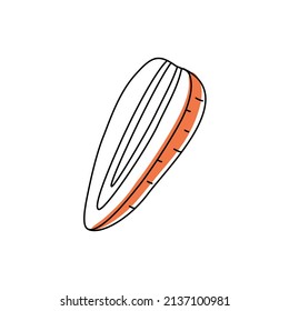 El contorno de garabato rebanar zanahoria con mancha. Ilustración vectorial para embalaje