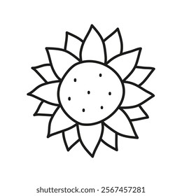 Doodle outline sunflower head flower isolated on white background.