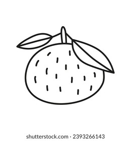Doodle outline tangerine fruit isolated on white background.