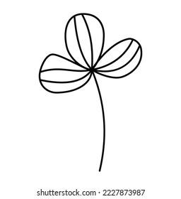 Doodle outline three leaves clover isolated on white background. Scandinavian illustration art element. Decorative summer floral image.