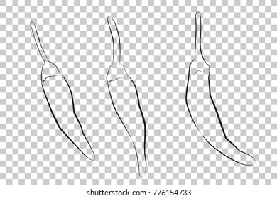 Doodle Outline, Three Small Green Chili, at Transparent Effect Background