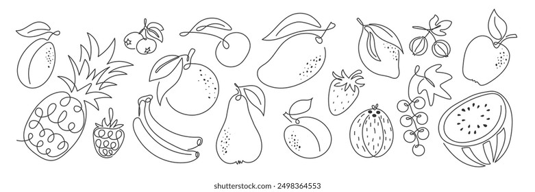 Doodle outline various fruit collection. Cute tropical garden fruits, berries. Abstract Healthy food sketch black and white illustration. Summer fresh organic ingredients set