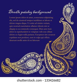 Doodle paisley background corner.
