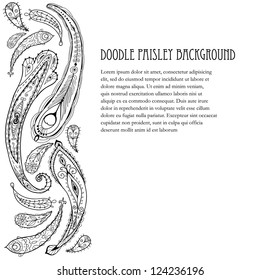 Doodle paisley elements background.