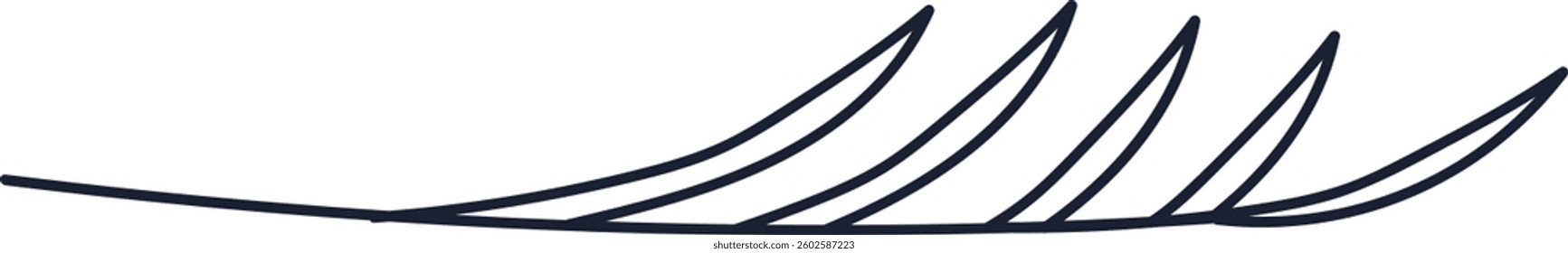 Doodle Palm Branch Vector Illustration