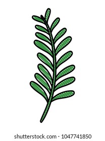 doodle palm leaves tropical nature plant
