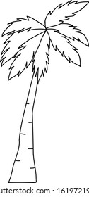 Doodle palm tree icon vector. Line drawn palm tree. Linearly drawn palm in vector on white bacground
