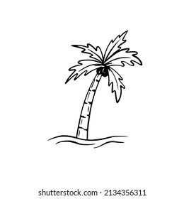 Doodle palm tree illustration. Hand drawn summer icon