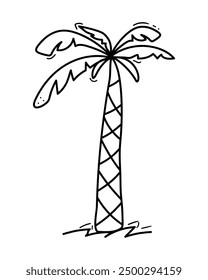 Doodle palm tree illustration in vector. Hand drawn palm tree icon. Illustration isolated on white background