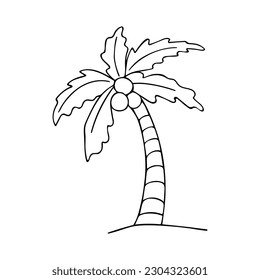 Doodle of palm tree isolated on white background. Hand drawn vector illustration of coco palm.