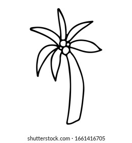 Doodle palm tree on isolated white background. Stock vector illustration.