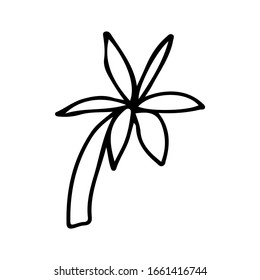 Doodle palm tree on isolated white background. Stock vector illustration.