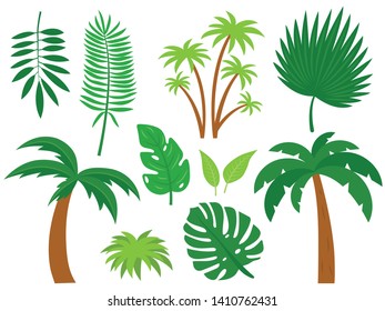 doodle palm tree and various types of leaf and tree branches. vectors illustration in free hand drawing style. 