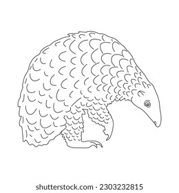 Doodle of Pangolin. Hand drawn vector illustration.