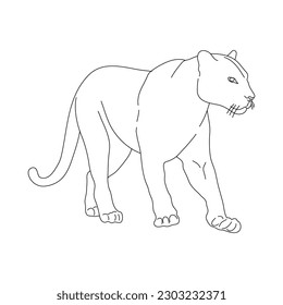 Doodle of Panther. Hand drawn vector illustration.