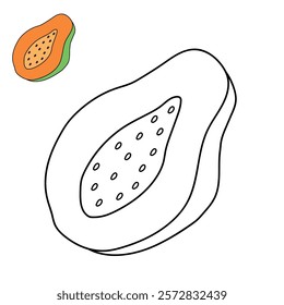 Doodle papaya isolated on white background vector. Papaya fruit coloring Page. Cartoon papaya coloring page for kindergarten and preschool worksheets for kids printable. Trace and color papaya. 