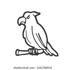 Doodle Parrot in vector. Isolated vector sketch