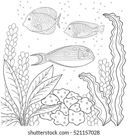 Doodle pattern in black and white. Marine design for coloring book  - sea fish, seaweed, bubbles.