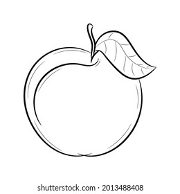 Ilustración vectorial de frutos de melocotón con estilo de dibujo a mano