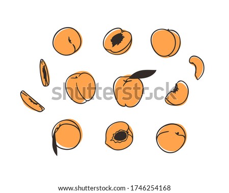 Doodle peach. Hand drawn stylish fruit and vegetable. Vector artistic drawing fresh organic food. Summer illustration vegan ingrediens for smoothies