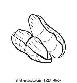 doodle peanut icon outline vector 