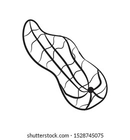 doodle peanut icon outline vector 