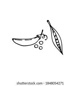 Doodle peas. Hand-drawn images. Vector for posters, web, textiles, children's coloring pages.